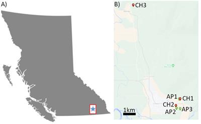 Plant virus diversity in bee and pollen samples from apple (Malus domestica) and sweet cherry (Prunus avium) agroecosystems